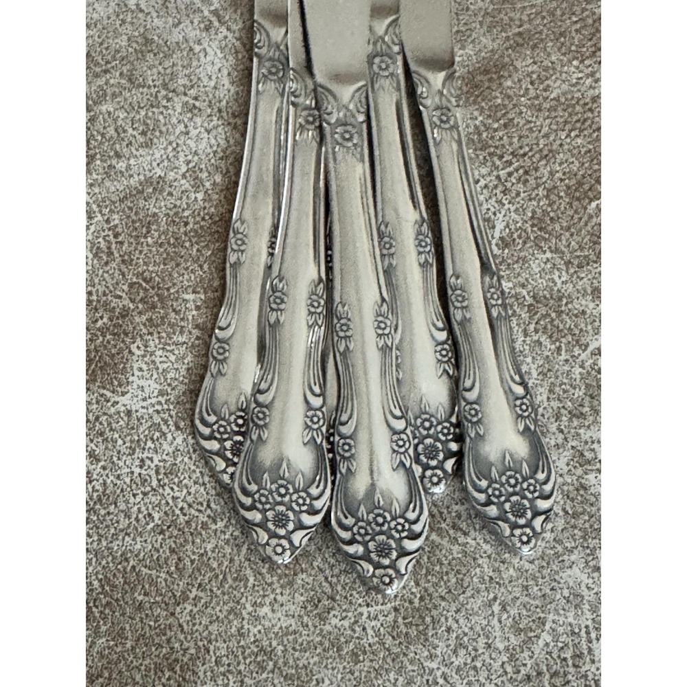Vintage Rogers Co. DREAM ROSE ROSE BUD Stainless Flatware Lot Of 6 Dinner Knives